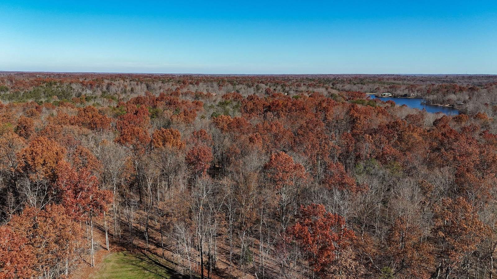 Aerial view of fall forest canopy and water